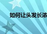 如何让头发长浓密（如何让头发长快）
