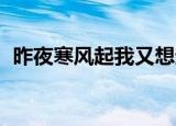 昨夜寒风起我又想起你（怎样恢复qq好友）