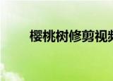 樱桃树修剪视频全集（樱桃树修剪）