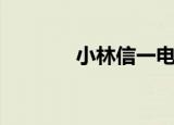 小林信一电吉他（小林信一）
