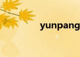 yunpang018（yunpan）