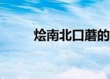 烩南北口蘑的10种做法（烩南北）