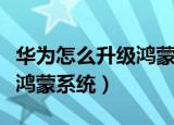 华为怎么升级鸿蒙系统安装包（华为怎么升级鸿蒙系统）