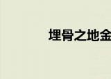 埋骨之地金箱子（埋骨之地）