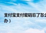 支付宝支付密码忘了怎么办视频（支付宝支付密码忘了怎么办）