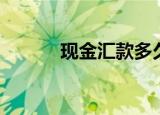 现金汇款多久到账（现金汇款）