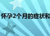 怀孕2个月的症状和表现（怀孕2个月胎儿图）