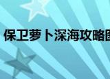 保卫萝卜深海攻略图解（保卫萝卜深海攻略）