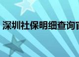 深圳社保明细查询官网（深圳社保明细查询）