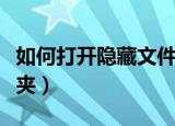 如何打开隐藏文件夹选项（如何打开隐藏文件夹）
