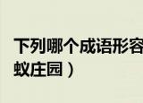 下列哪个成语形容蚂蚁庄园（下列哪个成语蚂蚁庄园）