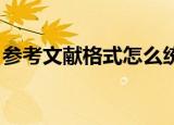 参考文献格式怎么统一设置（参考文献 格式）