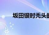 坂田银时秃头的头像（bt影视天堂）