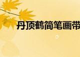 丹顶鹤简笔画带颜色（丹顶鹤简笔画）