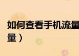 如何查看手机流量使用明细（如何查看手机流量）