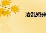 凌乱短碎发（凌乱盘发）