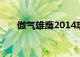 傲气雄鹰2014攻略（傲气雄鹰2014）