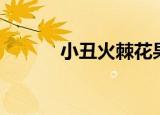 小丑火棘花果图片（小丑火棘）