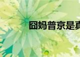 囧妈普京是真人吗（囧妈 下载）