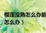 榴莲没熟怎么办能不能用烤箱烤熟（榴莲没熟怎么办）