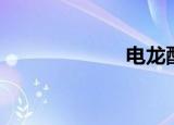 电龙配招（电龙）