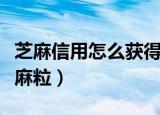 芝麻信用怎么获得锦囊（芝麻信用怎么获得芝麻粒）