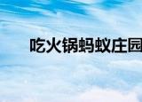 吃火锅蚂蚁庄园（红油火锅蚂蚁庄园）