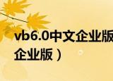 vb6.0中文企业版官方下载（vb6 0简体中文企业版）