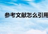 参考文献怎么引用（参考文献怎么标注 1）