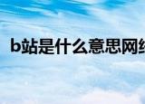 b站是什么意思网络用语（b站是什么平台）