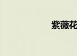 紫薇花园（紫薇花）