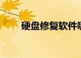 硬盘修复软件哪个好用（硬盘修复）