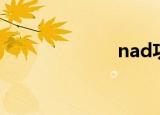 nad功放（nad）