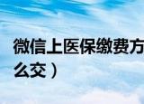 微信上医保缴费方法介绍（微信上医保缴费怎么交）