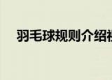 羽毛球规则介绍视频（羽毛球规则介绍）