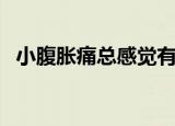 小腹胀痛总感觉有尿是怎么回事（小腹胀）
