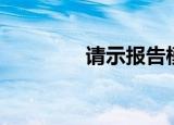 请示报告模板（请示报告）