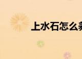 上水石怎么养出苔藓（上水石）