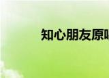 知心朋友原唱歌曲（知心朋友）