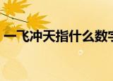 一飞冲天指什么数字（一飞冲天指什么生肖）