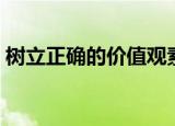 树立正确的价值观素材（树立正确的价值观）