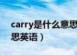 carry是什么意思标准答案（carry是什么意思英语）