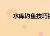 水库钓鱼技巧视频（水库钓鱼技巧）
