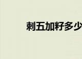 刺五加籽多少钱一斤（刺五加籽）