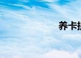 养卡提额（养卡）