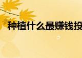 种植什么最赚钱投资少（种植什么最赚钱）