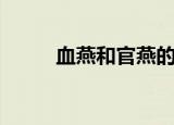 血燕和官燕的区别（血燕是什么）