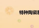 特种陶瓷制品（特种陶瓷）