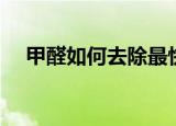 甲醛如何去除最快方法（甲醛如何去除）