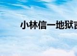 小林信一地狱吉他教程（小林信一）